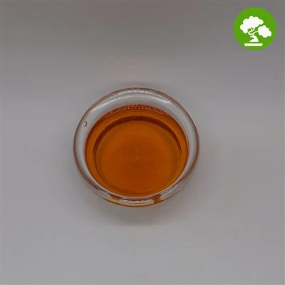 База Кастореум